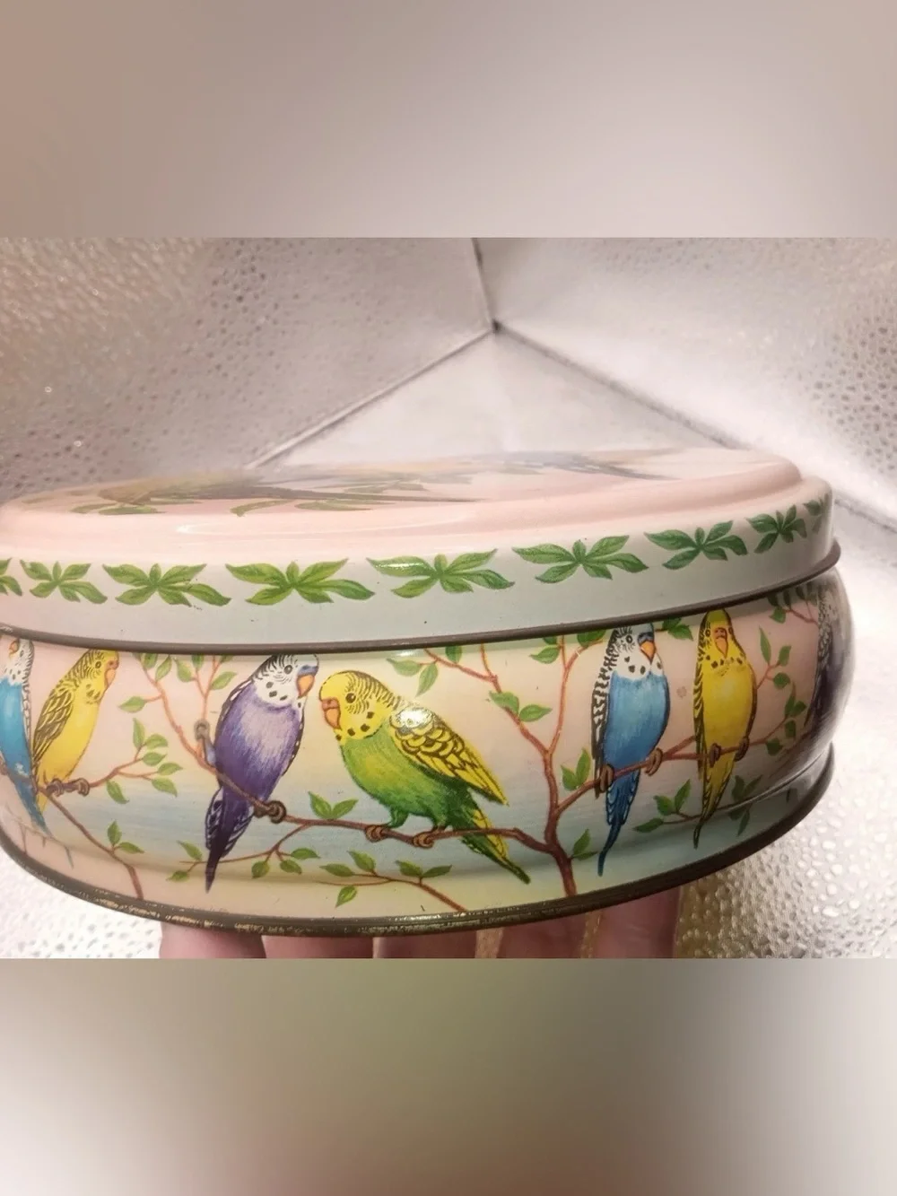 Pink Budgie Peek Frean Biscuit Budgerigar Parakeets Birds 1950s Mcm Tin rare